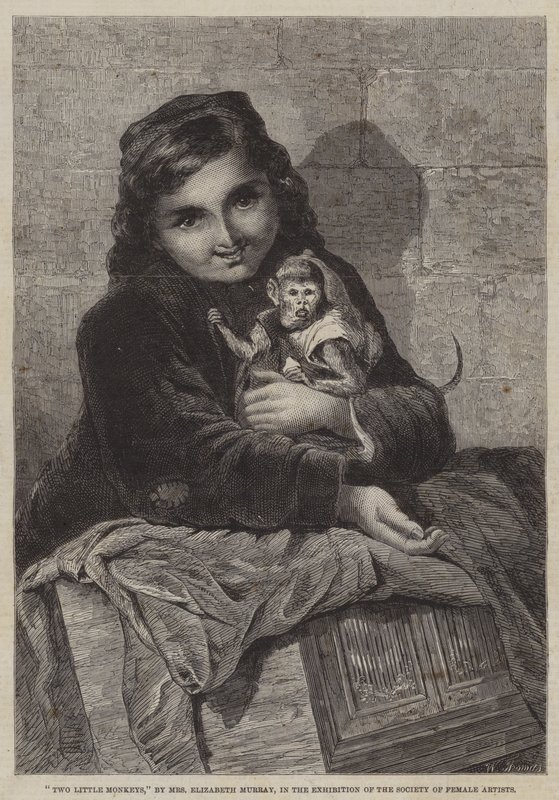 Zwei kleine Affen von Elizabeth Murray