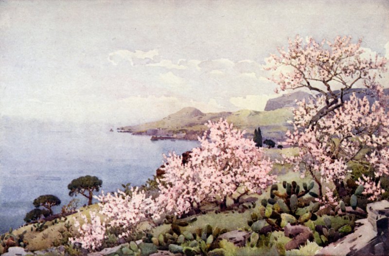 Mandelblüte von Ella Du Cane
