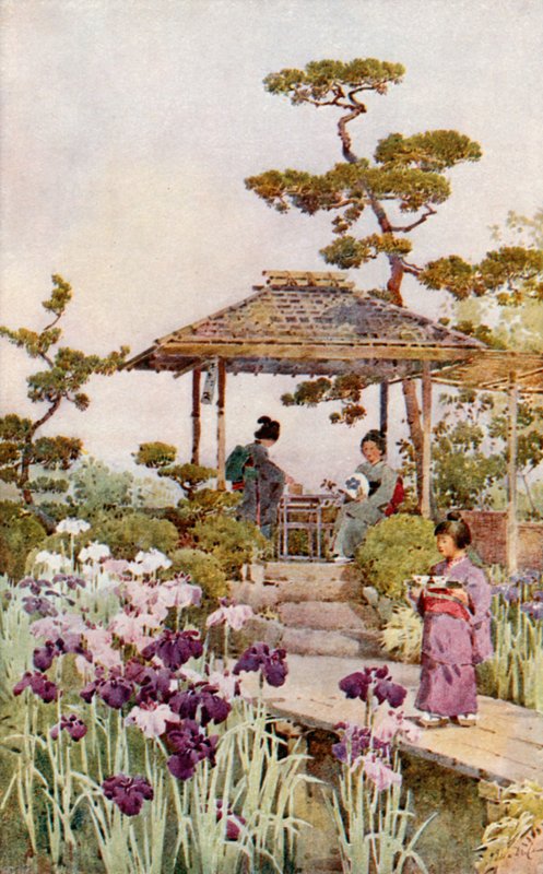 Ein Schwertliliengarten von Ella Du Cane