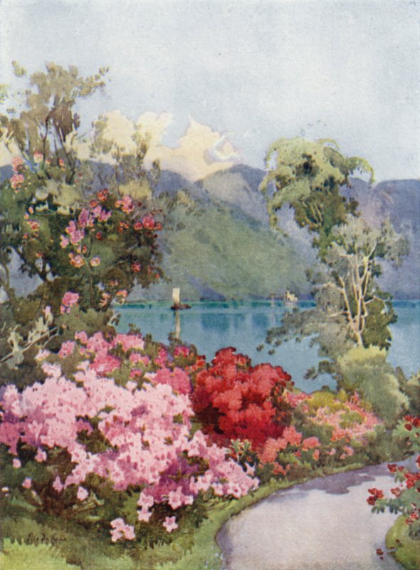 Azaleen, Lago di Como von Ella Du Cane