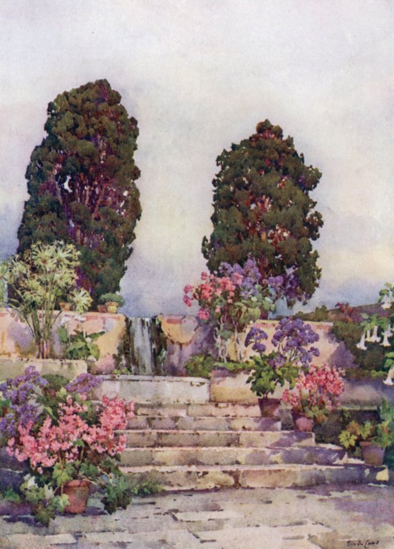 Botanische Gärten, Orotava von Ella Du Cane
