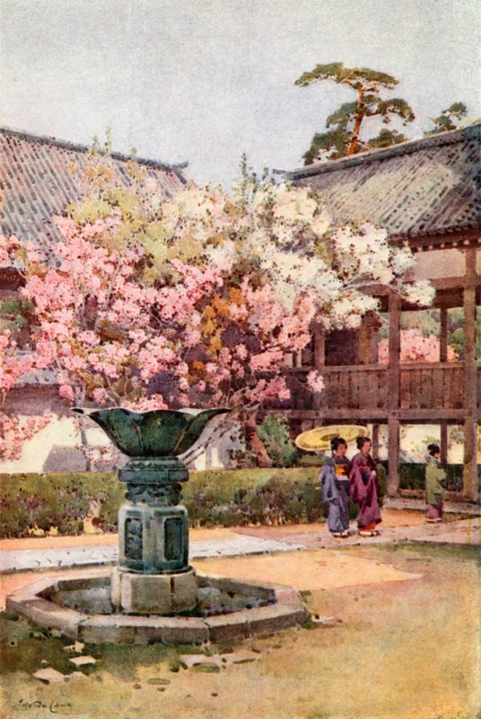 Kirschblüte, Chion-in Tempel von Ella Du Cane