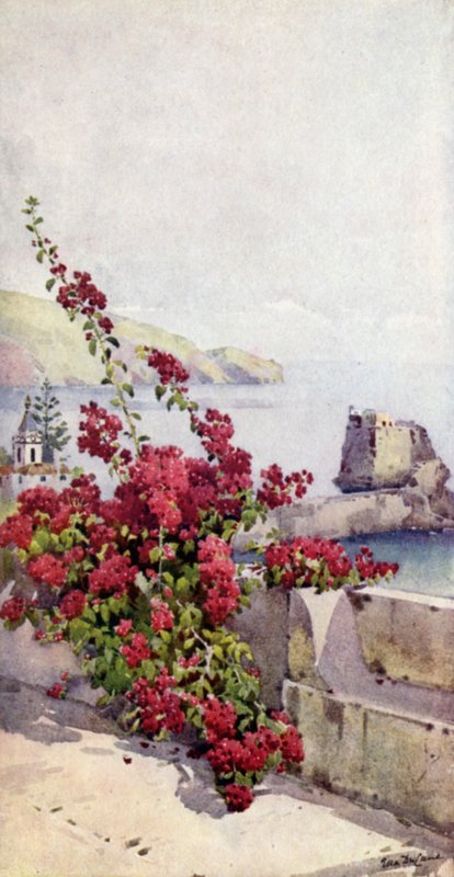 Loo Rock, Funchal von Ella Du Cane