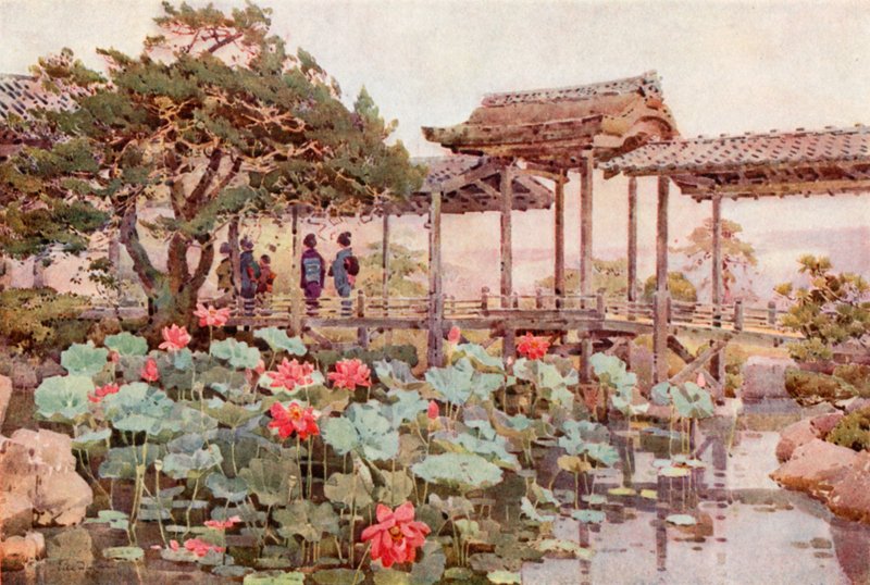 Lotus im Kodaiji von Ella Du Cane