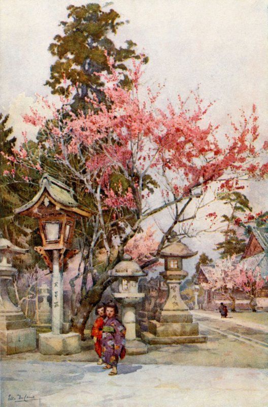 Pflaumenblüte und Laternen von Ella Du Cane