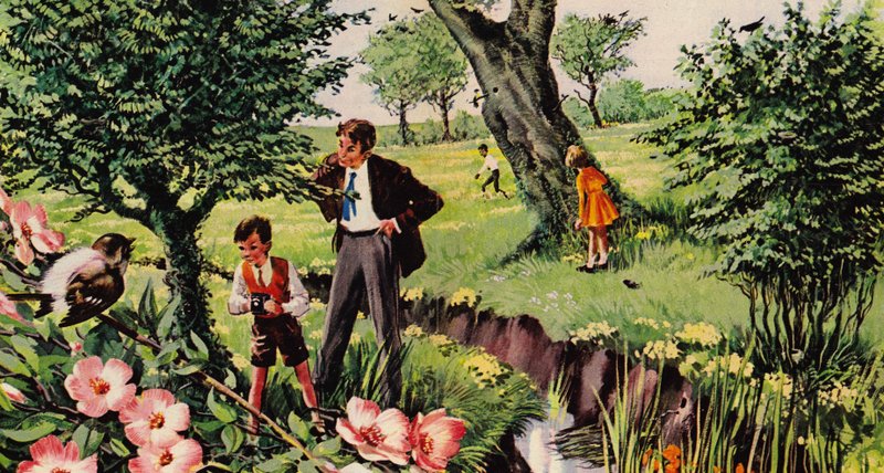Vögel und ihre Nester von English School