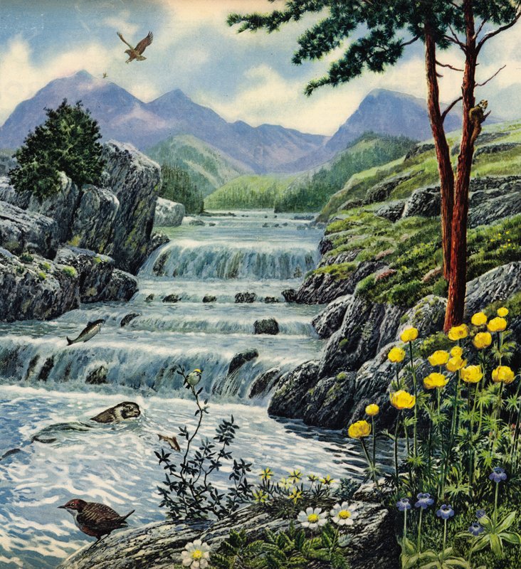 Schottische Highlands von English School
