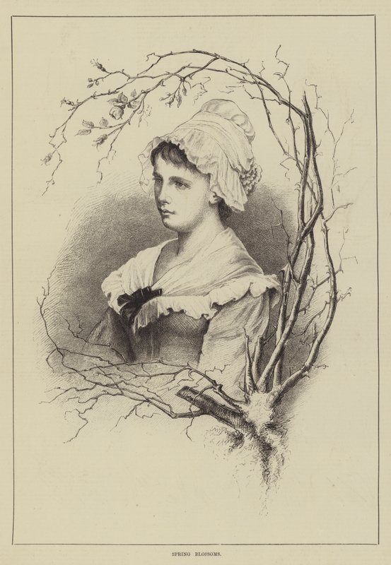 Frühlingsblüten von English School