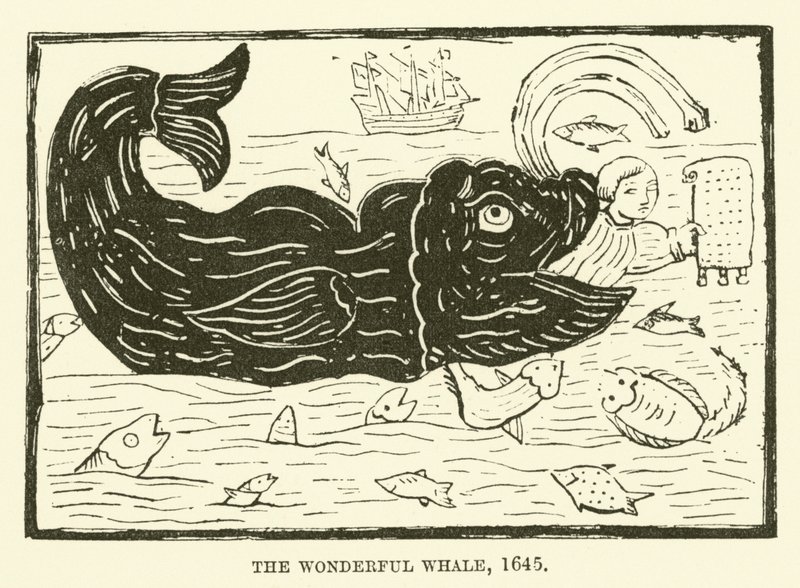 Der wunderbare Wal, 1645 von English School