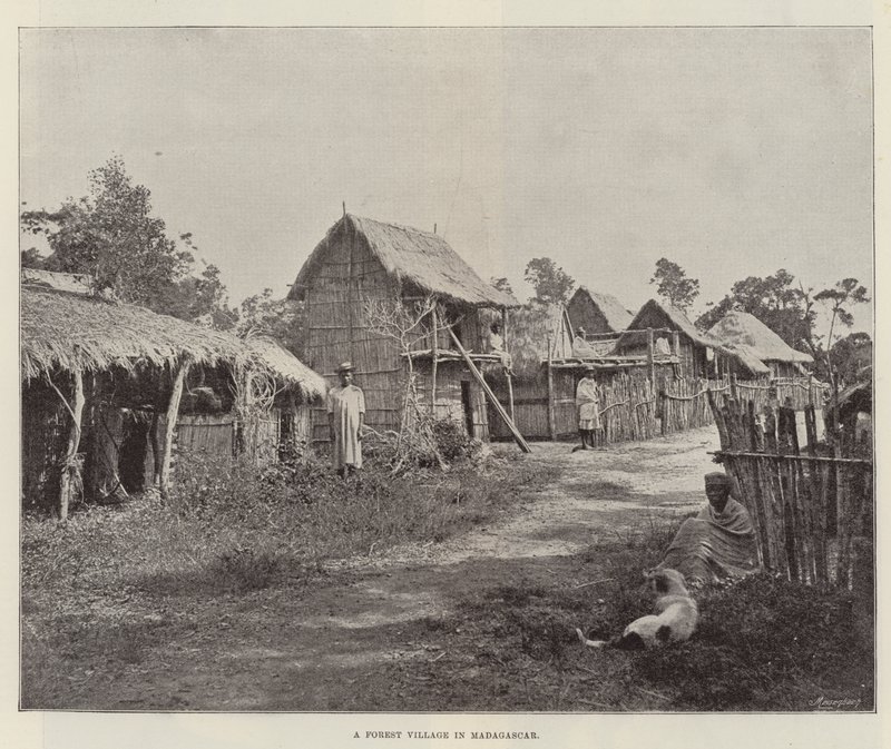 Ein Walddorf in Madagaskar von English Photographer