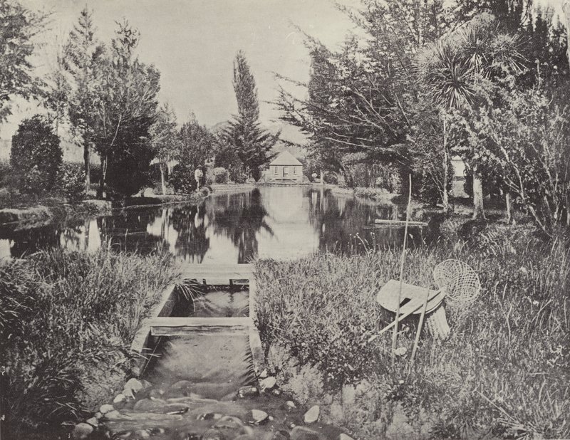 An den Lachsteichen, New Norfolk von English Photographer
