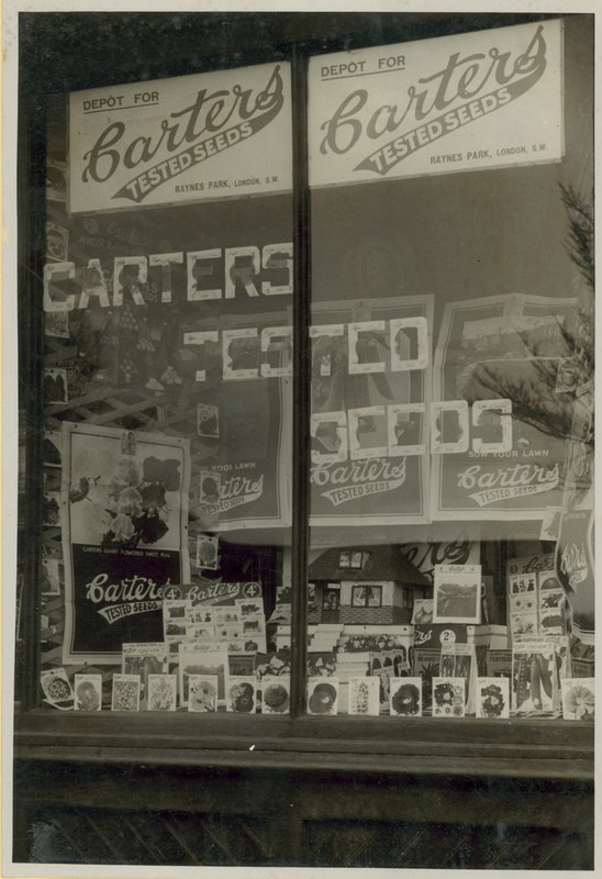 Carters getestete Samen Ausstellung von English Photographer