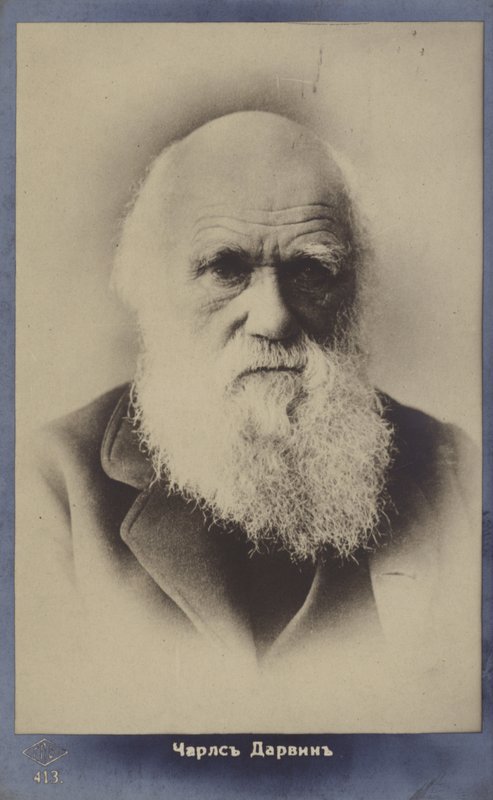 Charles Darwin (1809-1882), englischer Naturforscher von English Photographer