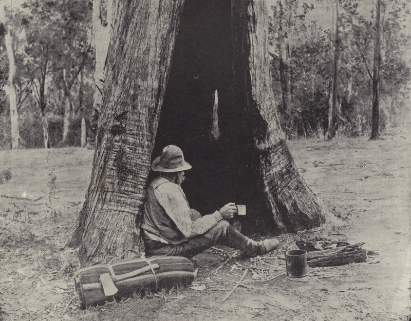 Pechvogel von English Photographer