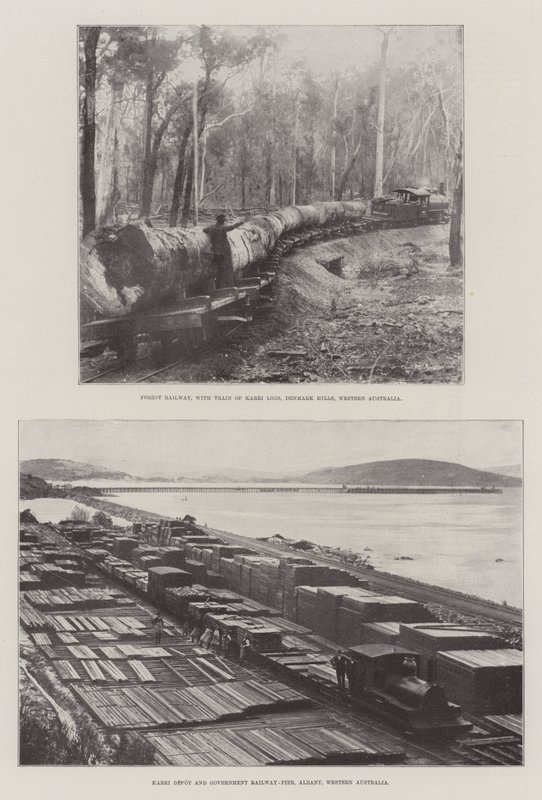 Holzfällerei in Australien von English Photographer
