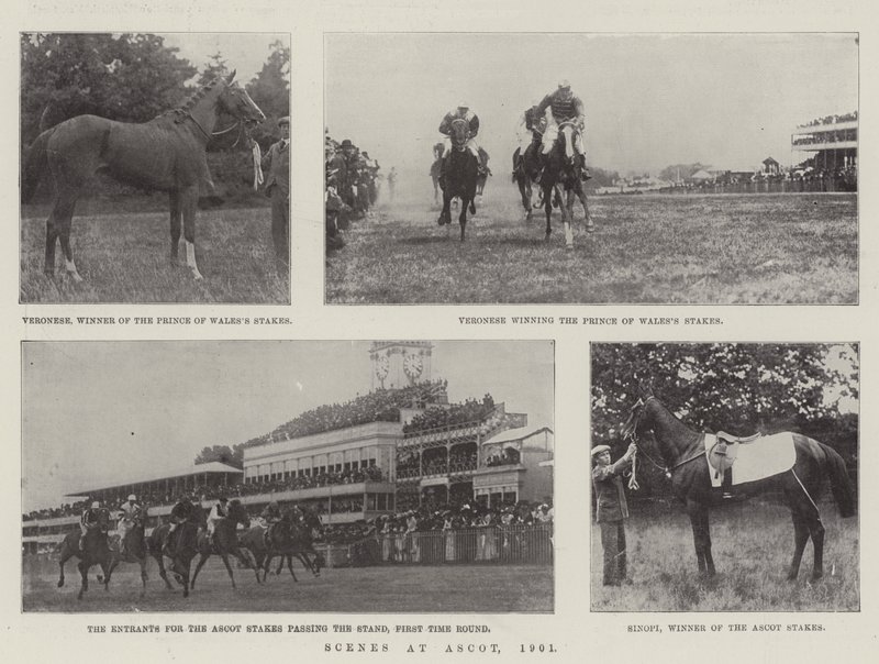 Szenen in Ascot, 1901 von English Photographer