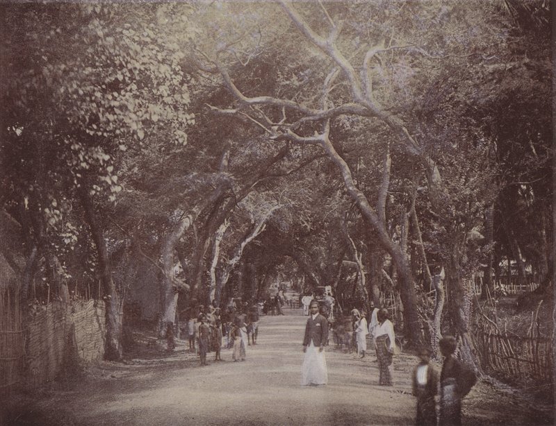 Skinners Road, Colombo von English Photographer