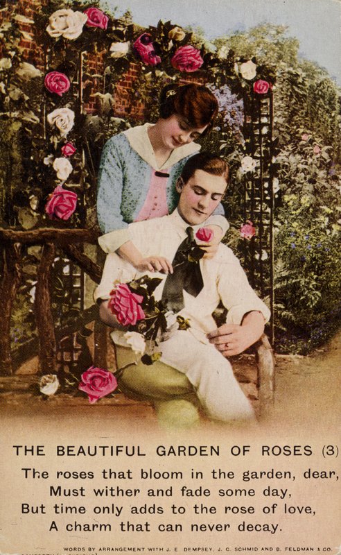 Der schöne Rosengarten von English Photographer