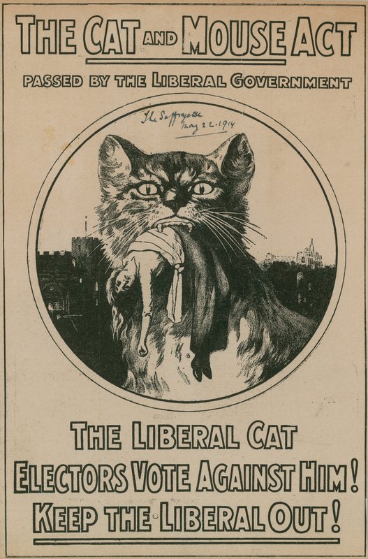 Das Katzen-und-Maus-Gesetz von English Photographer