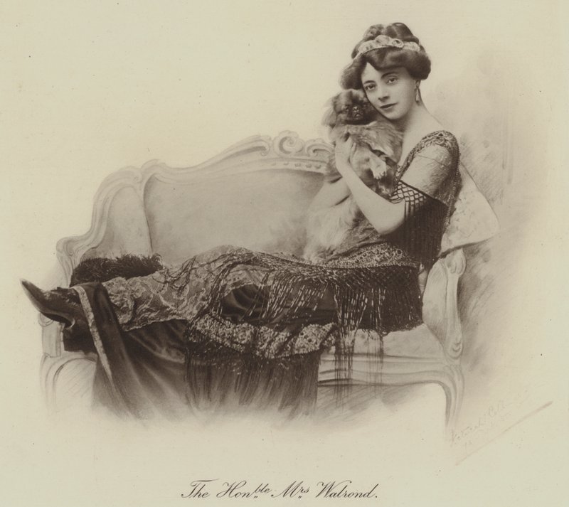 Die ehrenwerte Mrs. Walrond von English Photographer