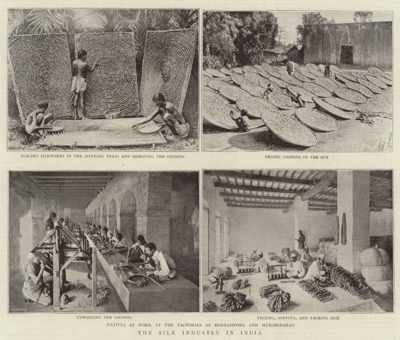 Die Seidenindustrie in Indien von English Photographer