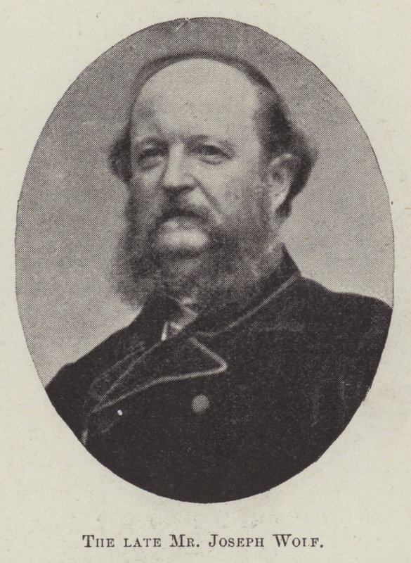 Der verstorbene Herr Joseph Wolf von English Photographer