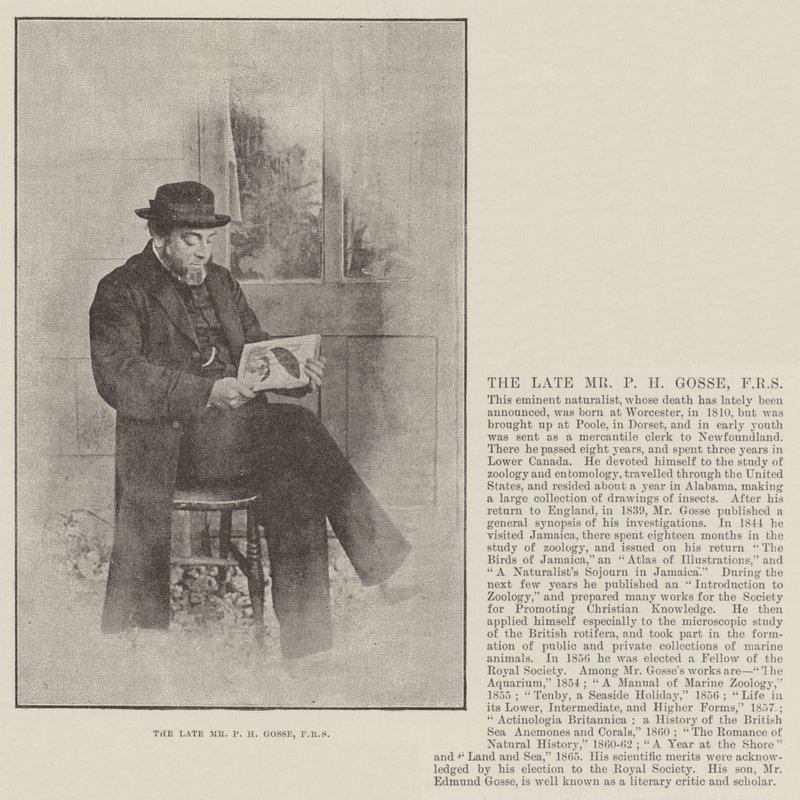Der verstorbene Mr. P. H. Gosse, FRS von English Photographer