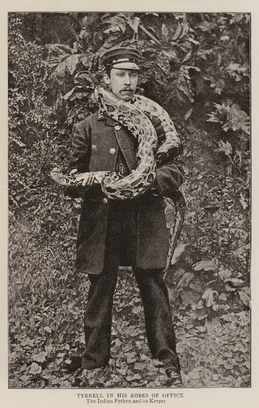 Tyrrell in seinen Amtsroben von English Photographer