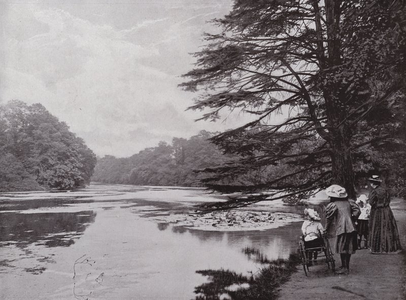 Wanstead Park von English Photographer