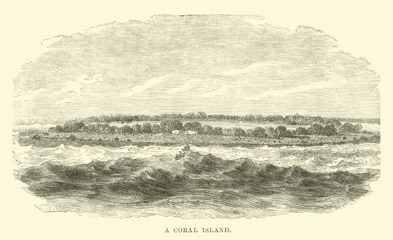 Eine Koralleninsel von English School