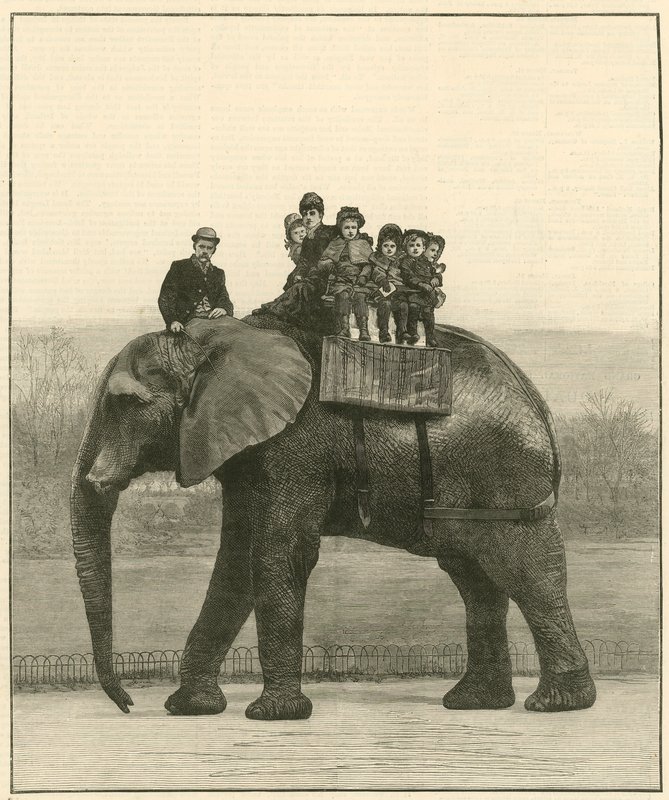 Eine Abschiedsfahrt auf Jumbo von English School