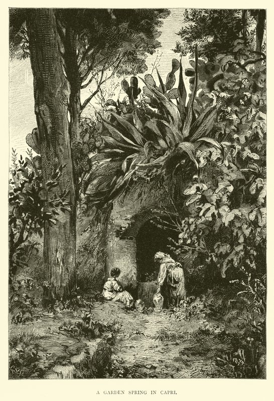 Ein Gartenspringbrunnen in Capri von English School