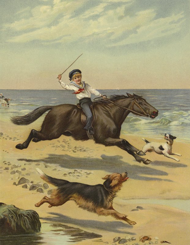 Ein morgendlicher Galopp von English School