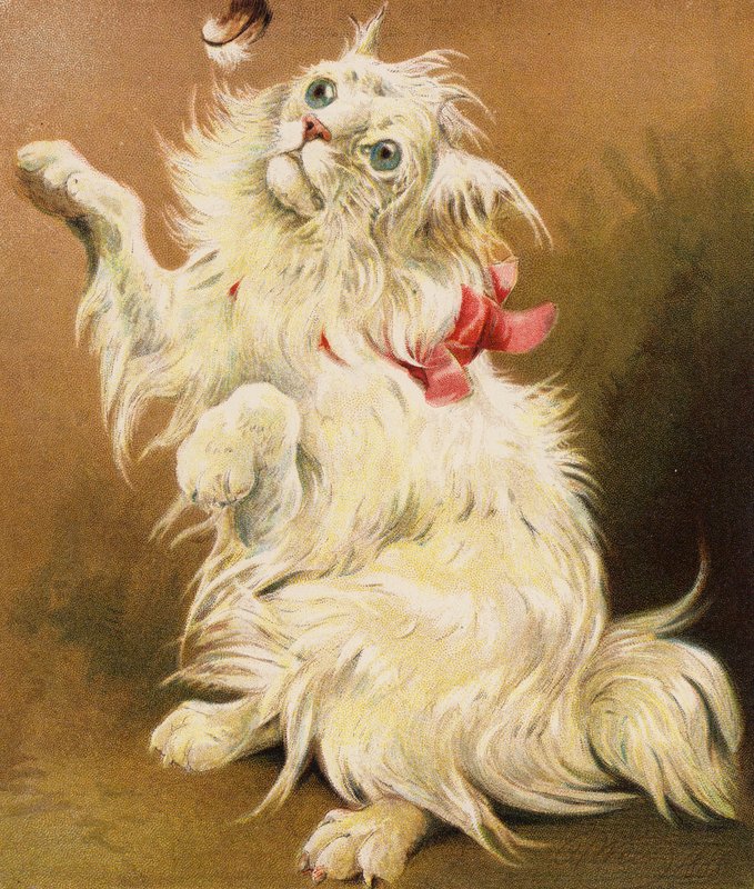 Eine persische Katze von English School