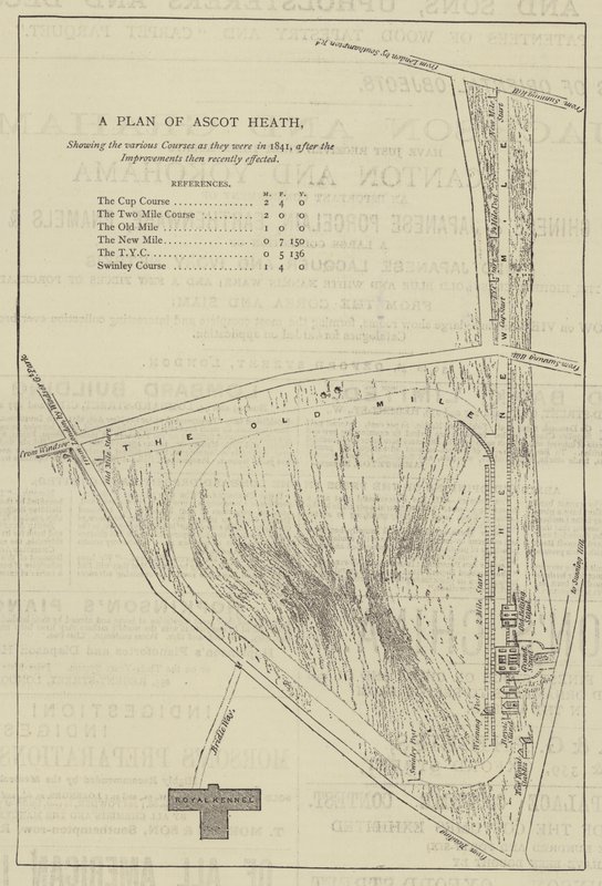 Ein Plan von Ascot Heath (Gravur) von English School