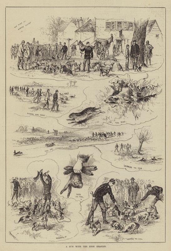 Eine Jagd mit den Eton Beagles (Gravur) von English School