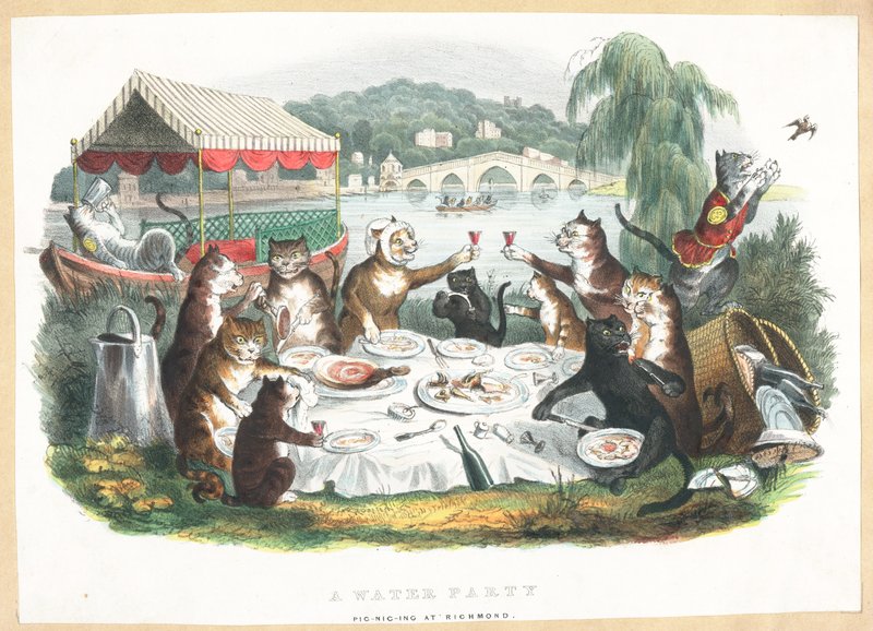 Eine Wasserparty - Picknick in Richmond von English School