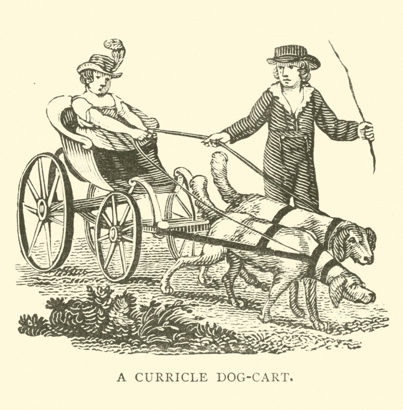 Ein Hundewagen von English School
