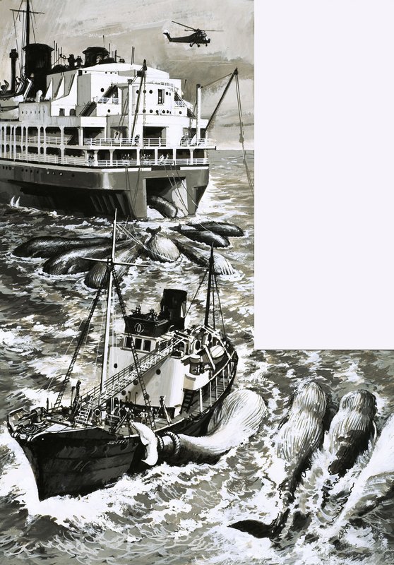 Ein Walfang-Fabrikschiff von English School