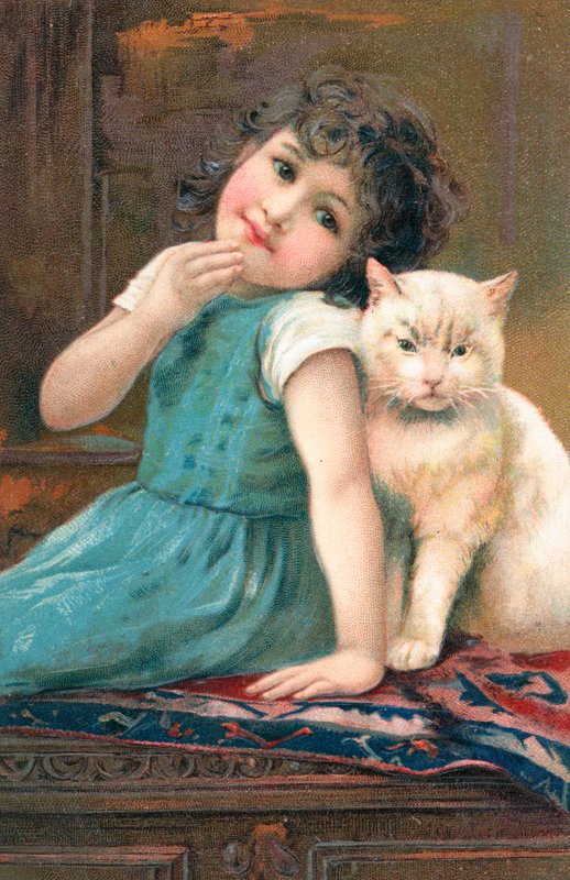 Ein junges Mädchen posiert mit einer Katze von English School