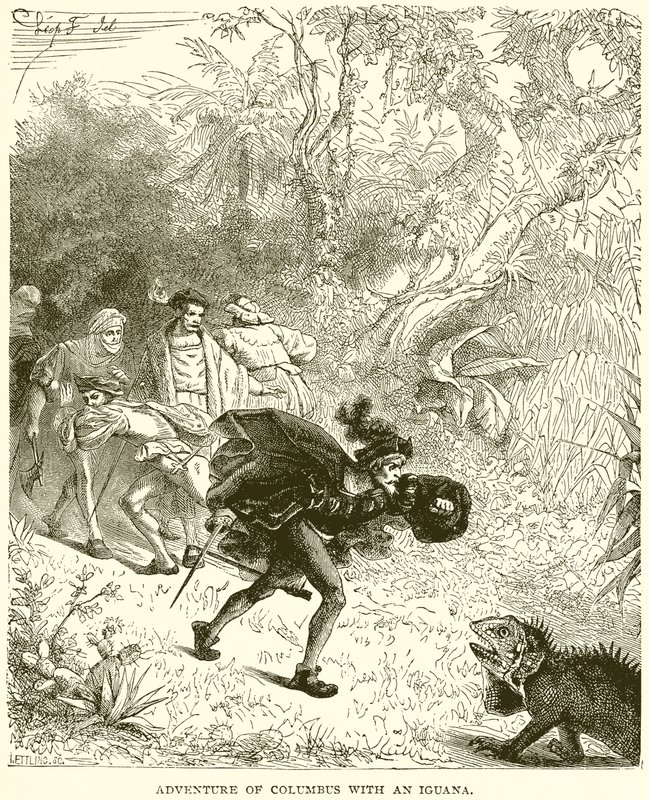 Abenteuer von Kolumbus mit einer Leguan von English School