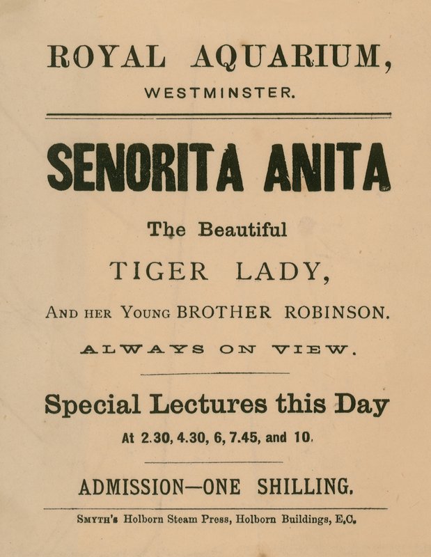 Werbung für Senorita Anita von English School
