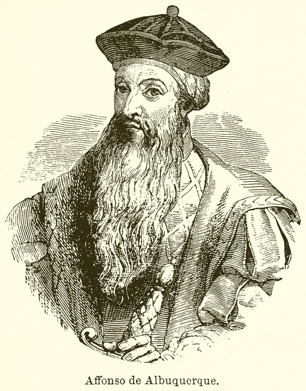 Affonso de Albuquerque von English School