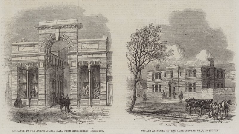 Agricultural Hall (Stich) von English School