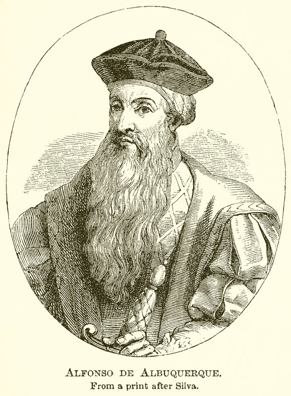 Alfonso de Albuquerque von English School