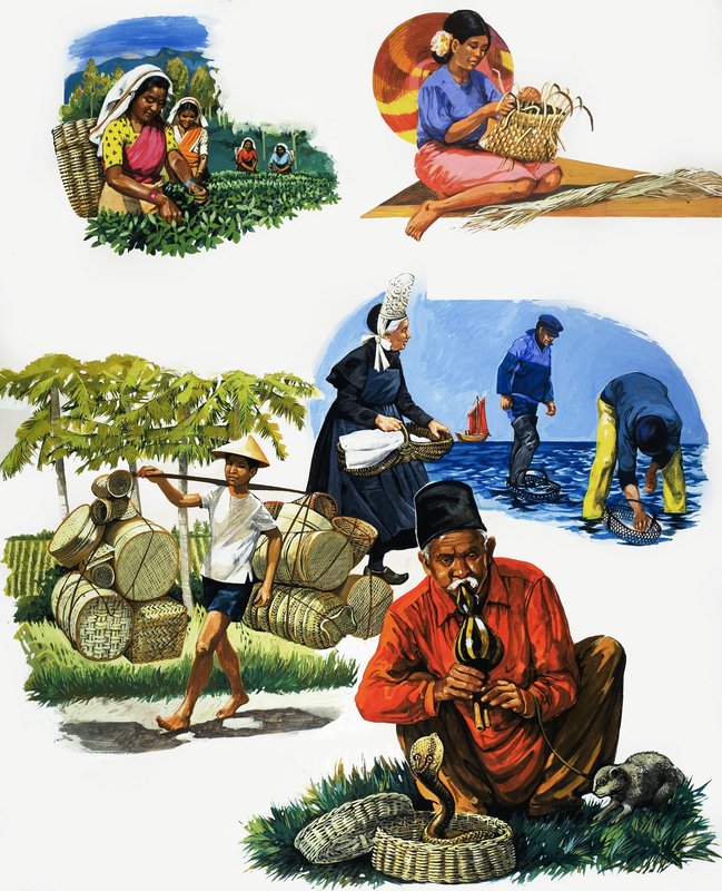 Alle Arten von Körben von English School
