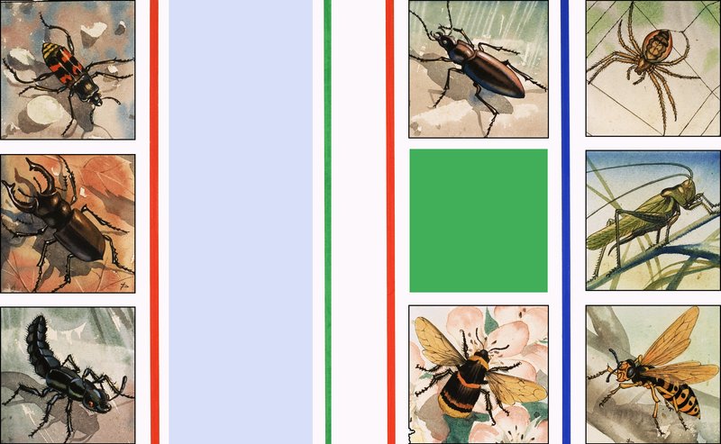 Alle Arten von Insekten von English School