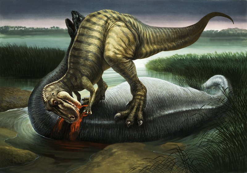 Allosaurus frisst einen Apatosaurus von English School