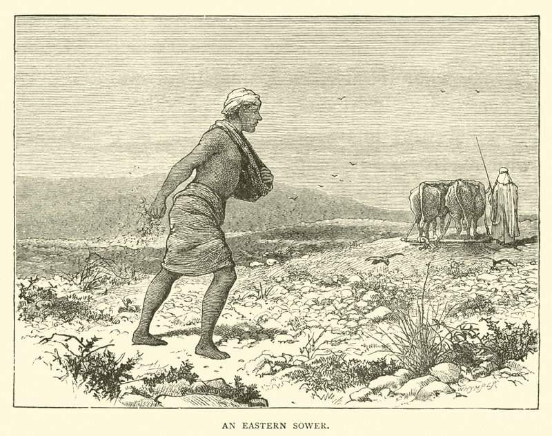 Ein östlicher Sämann von English School