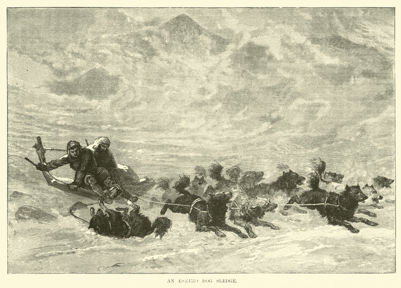 Ein Eskimo-Hundeschlitten von English School